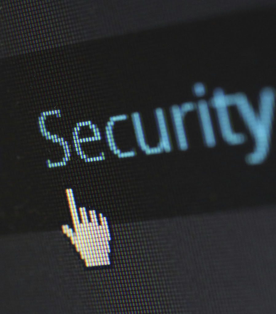 Close-up view of a mouse cursor over digital security text on display.